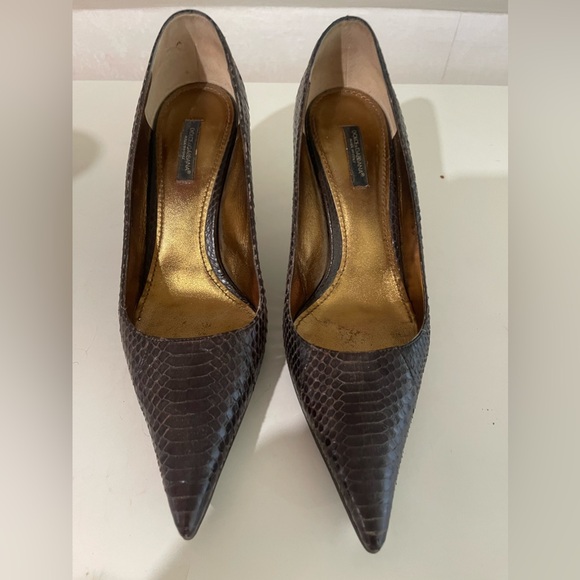 Brown Snakeskin Dolce & Gabbana pointed toe heels, Sz 39 / 8.5 - Picture 1 of 8